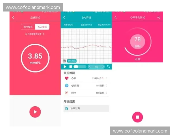 基于运动代谢统计的个体健康监测与科学训练优化策略深度综合研究