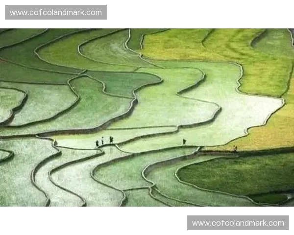 以动作节拍为核心重构身体表达与运动美学的全新叙事方式探索前沿