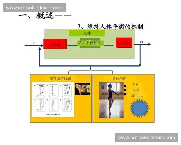 以身体中枢为核心探索人体平衡感知与生命调控的新视角体系机制