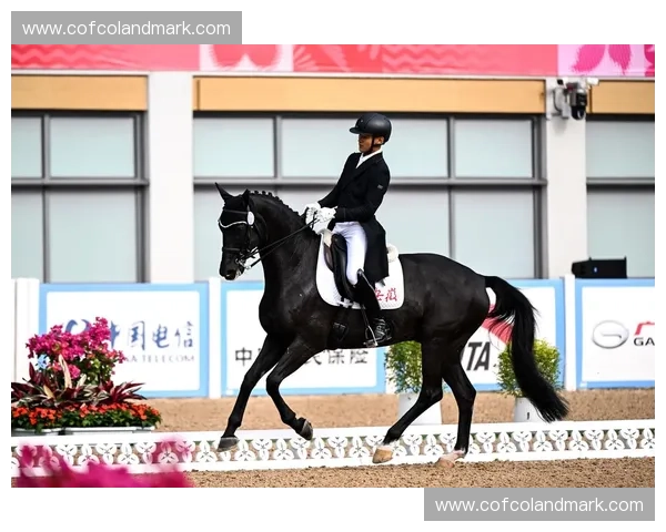 盛装舞步艺术魅力与马术文化融合发展探索与竞技精神传承研究路径分析 盛装舞步艺术魅力与马术文化融合发展探索与竞技精神传承研究路径分析